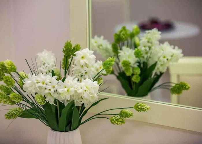 Andromeda * 시보타